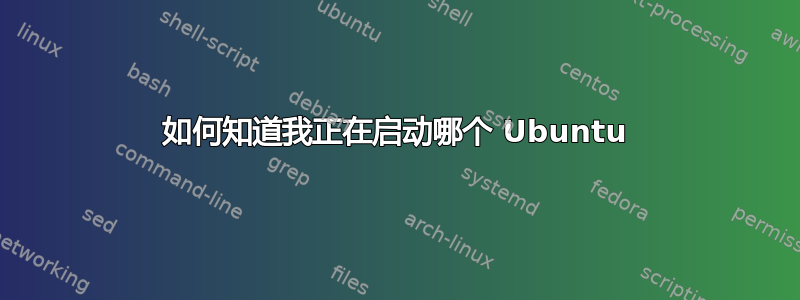 如何知道我正在启动哪个 Ubuntu