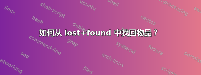 如何从 lost+found 中找回物品？