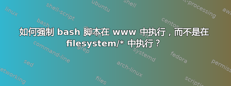 如何强制 bash 脚本在 www 中执行，而不是在 filesystem/* 中执行？