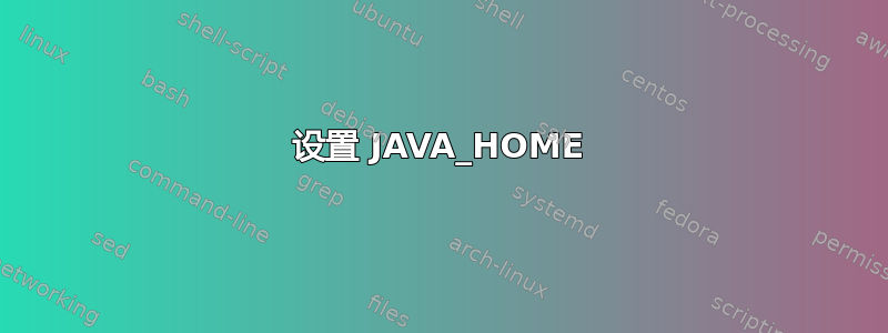 设置 JAVA_HOME