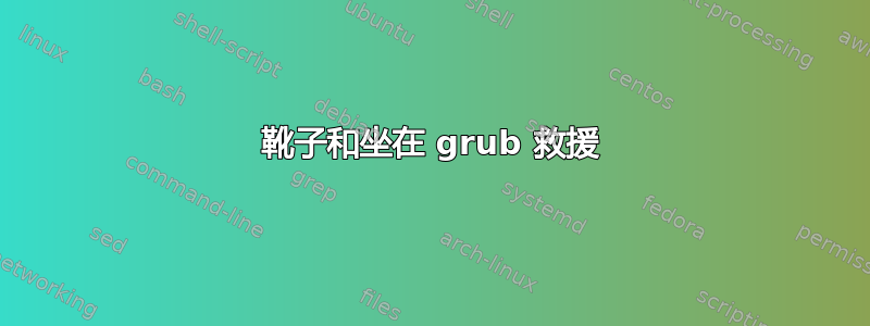 靴子和坐在 grub 救援