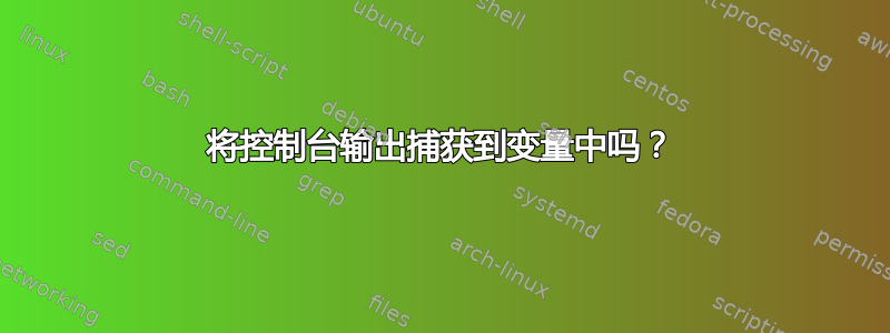 将控制台输出捕获到变量中吗？