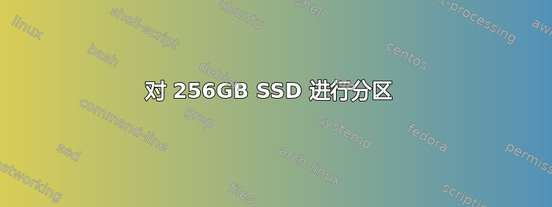 对 256GB SSD 进行分区 