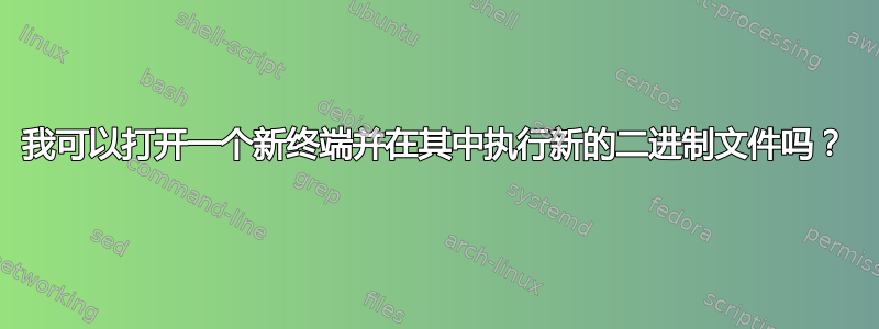 我可以打开一个新终端并在其中执行新的二进制文件吗？