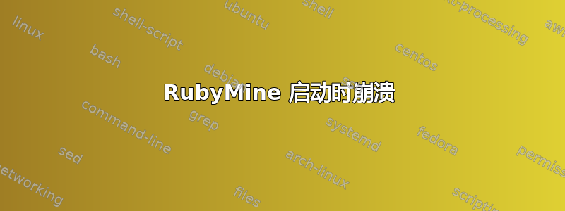 RubyMine 启动时崩溃