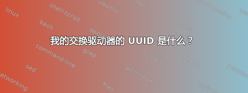 我的交换驱动器的 UUID 是什么？