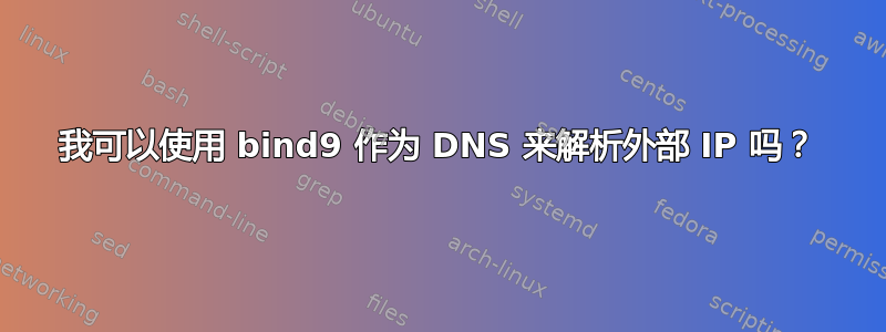 我可以使用 bind9 作为 DNS 来解析外部 IP 吗？