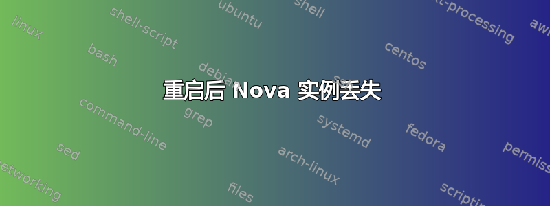 重启后 Nova 实例丢失