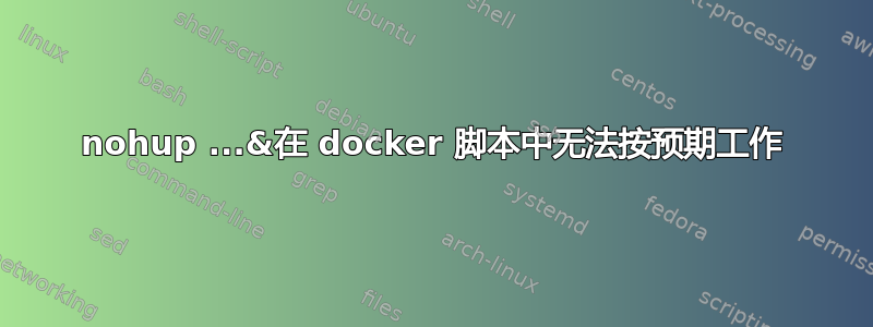 nohup ...&在 docker 脚本中无法按预期工作