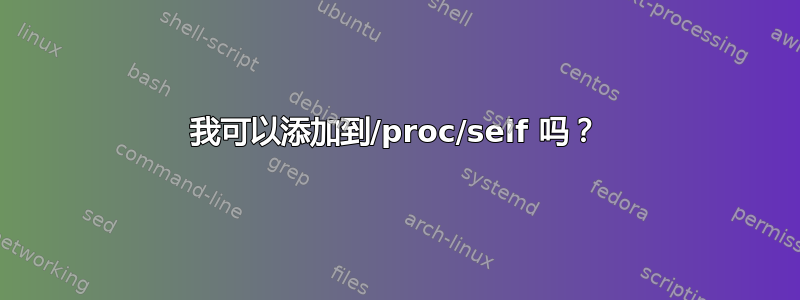 我可以添加到/proc/self 吗？