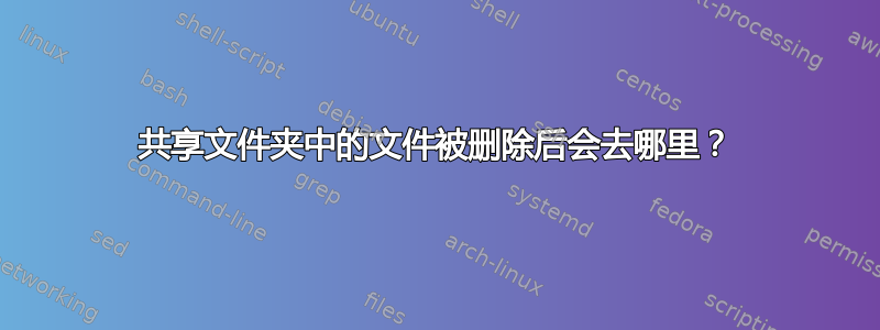 共享文件夹中的文件被删除后会去哪里？