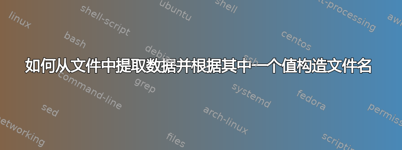 如何从文件中提取数据并根据其中一个值构造文件名