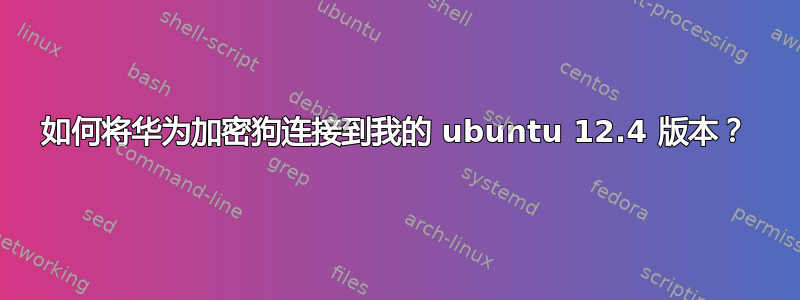 如何将华为加密狗连接到我的 ubuntu 12.4 版本？