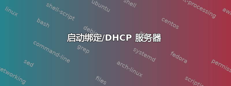 启动绑定/DHCP 服务器