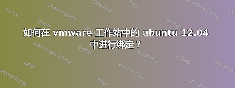 如何在 vmware 工作站中的 ubuntu 12.04 中进行绑定？