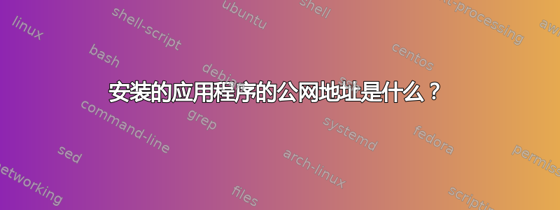 安装的应用程序的公网地址是什么？