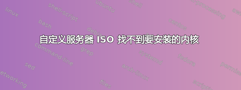 自定义服务器 ISO 找不到要安装的内核