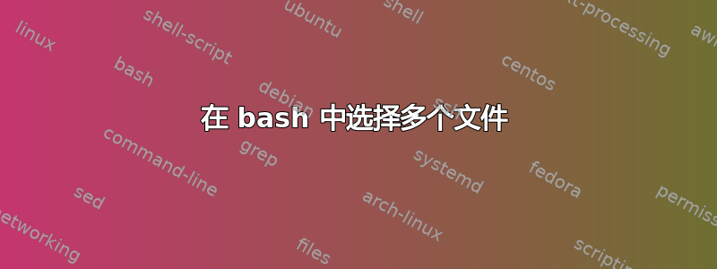 在 bash 中选择多个文件