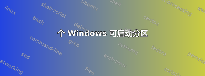 2 个 Windows 可启动分区