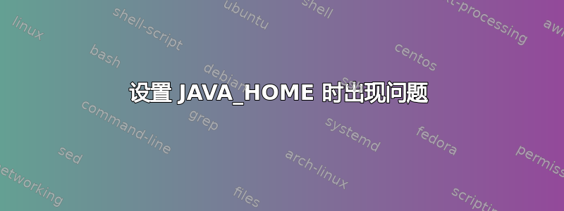 设置 JAVA_HOME 时出现问题