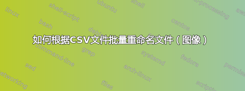 如何根据CSV文件批量重命名文件（图像）