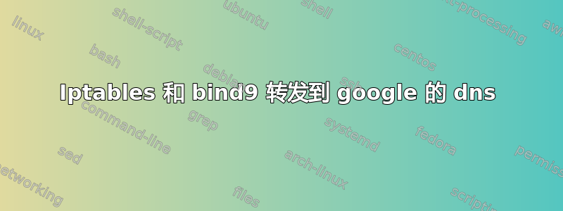 Iptables 和 bind9 转发到 google 的 dns