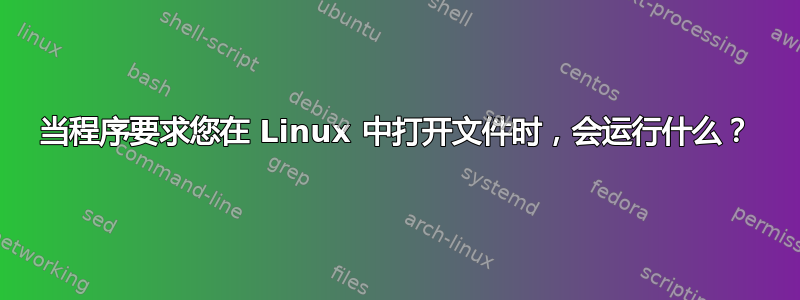 当程序要求您在 Linux 中打开文件时，会运行什么？