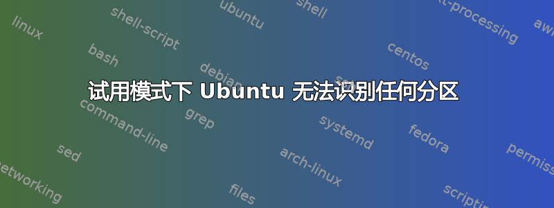 试用模式下 Ubuntu 无法识别任何分区