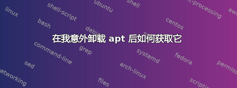 在我意外卸载 apt 后如何获取它