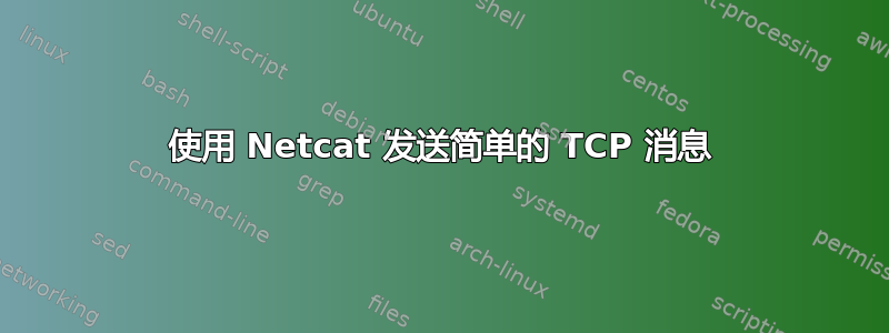 使用 Netcat 发送简单的 TCP 消息