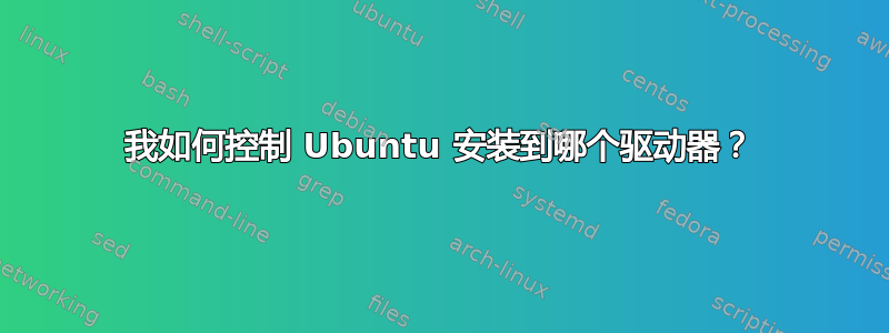 我如何控制 Ubuntu 安装到哪个驱动器？