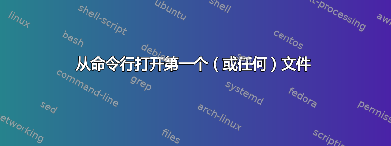 从命令行打开第一个（或任何）文件