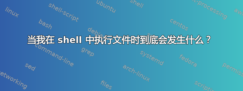 当我在 shell 中执行文件时到底会发生什么？