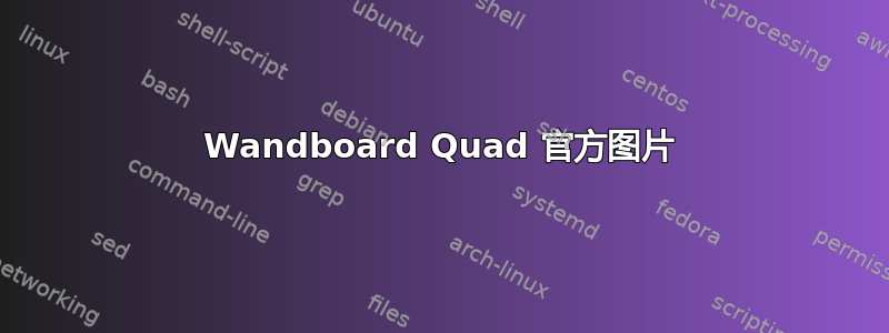 Wandboard Quad 官方图片