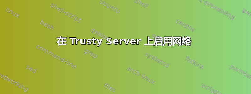 在 Trusty Server 上启用网络