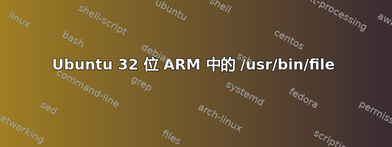 Ubuntu 32 位 ARM 中的 /usr/bin/file