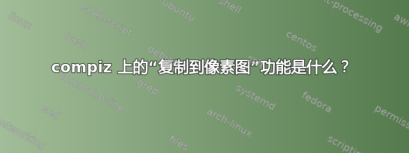 compiz 上的“复制到像素图”功能是什么？