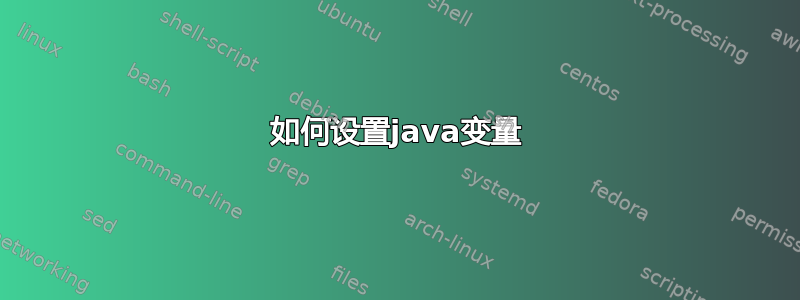 如何设置java变量