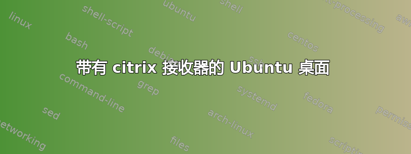 带有 citrix 接收器的 Ubuntu 桌面