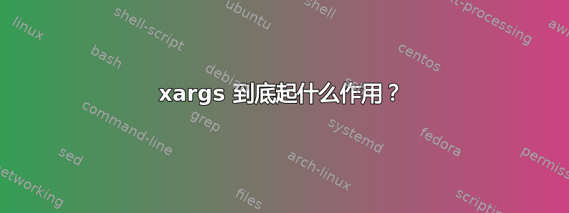 xargs 到底起什么作用？