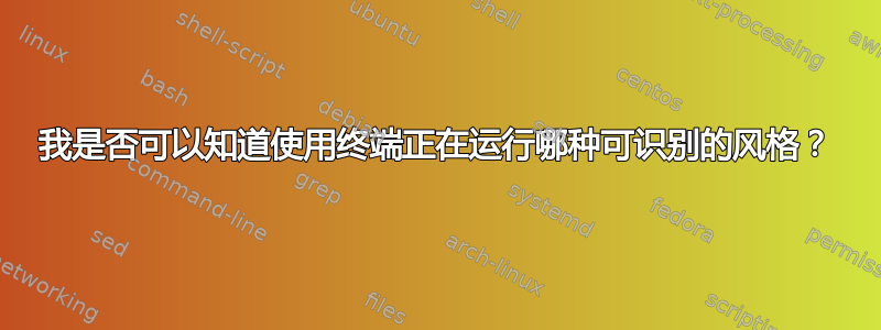 我是否可以知道使用终端正在运行哪种可识别的风格？