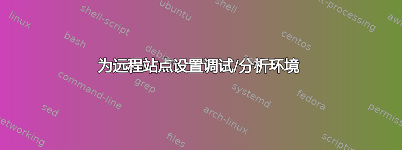 为远程站点设置调试/分析环境