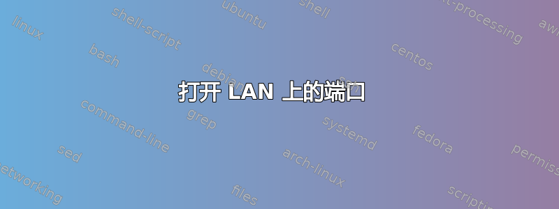 打开 LAN 上的端口 