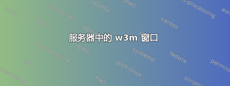 服务器中的 w3m 窗口