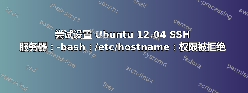 尝试设置 Ubuntu 12.04 SSH 服务器：-bash：/etc/hostname：权限被拒绝