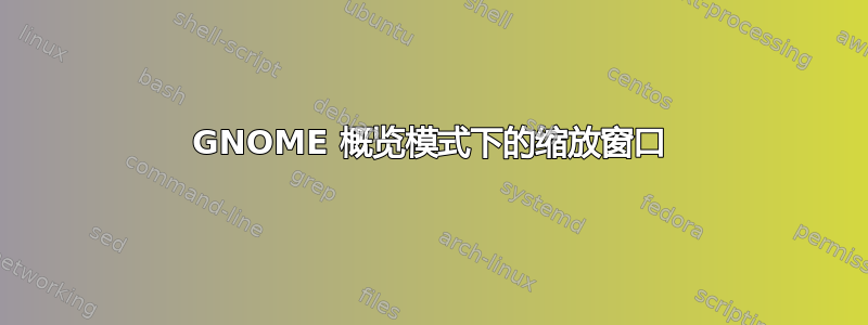 GNOME 概览模式下的缩放窗口