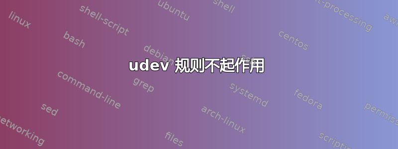 udev 规则不起作用