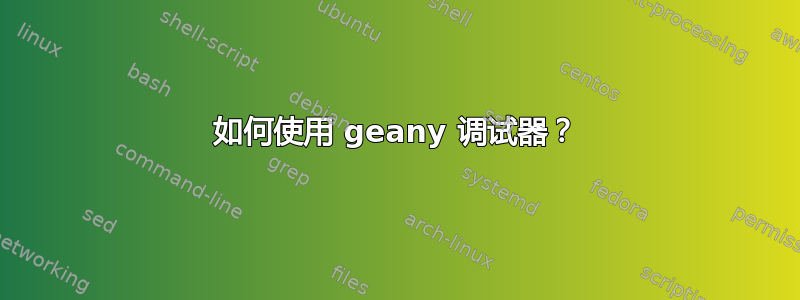 如何使用 geany 调试器？