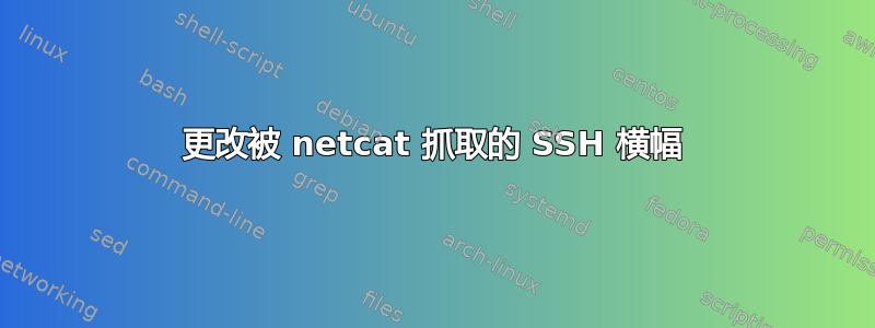 更改被 netcat 抓取的 SSH 横幅