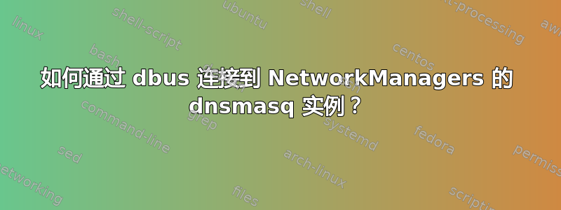 如何通过 dbus 连接到 NetworkManagers 的 dnsmasq 实例？